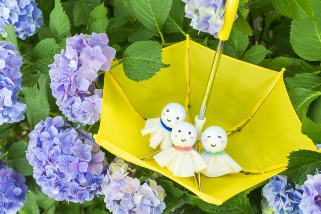 梅雨のだるさ解消法～湿気と上手につきあうコツ～