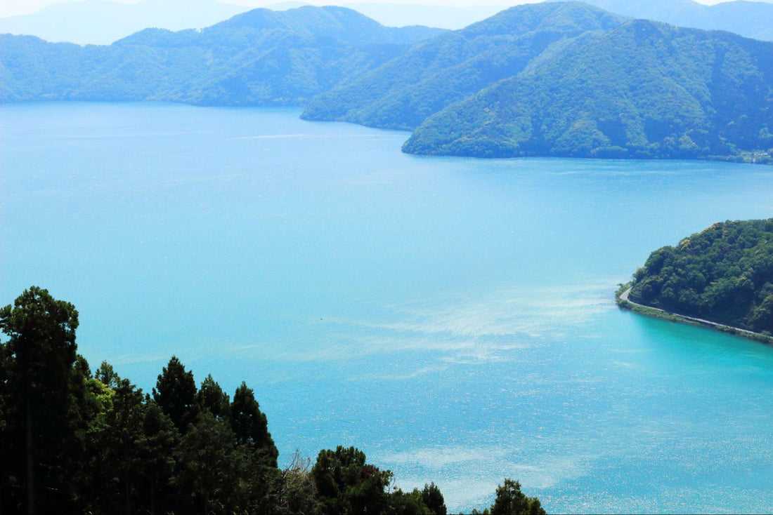 滋賀県のお米で作る米縁の米粉パン 〜琵琶湖の恵みをお届けします〜