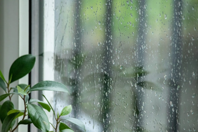 梅雨はカビに注意！― 食品を守る保存のコツ ―
